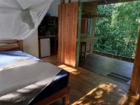 Jungle Paunch - spa