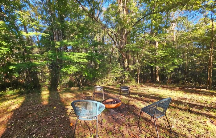 Refreshing home with WiFi, AC, fireplace in marvelous Heart of Yadkin Valley