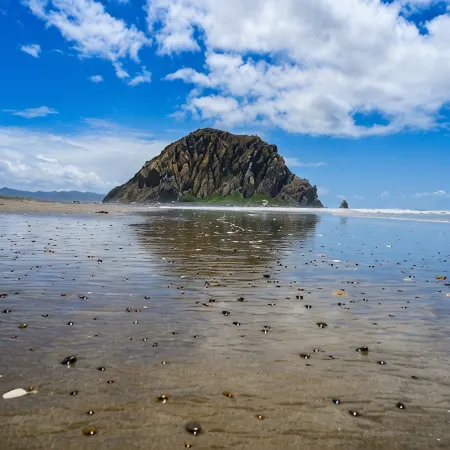 Beach cottages, majestic Morro Bay