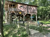Papa Bears Cozy Cabin at Up The Creek