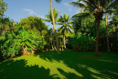 Hana Ocean Palms Bungalows - พร้อมWifi
