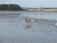 Sea and sand in large screan. - Wi-Fi