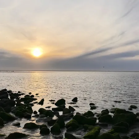 Huus Borkum - drop anchor * feel good* and * enjoy