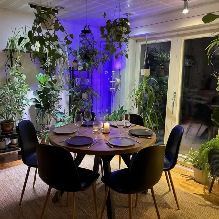 Villa Bee Mehiläinen