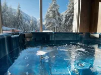 Hotel Malyovitsa Hotels in Samokov
