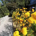 MountainBrew Homestay