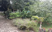 Rumah Bima - Bintang 1