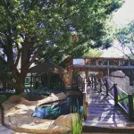 Ikamu's Lodge