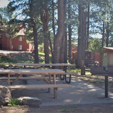 Walk to the Slopes from a Great Condo!  - THE MOUNTAIN IS OPEN