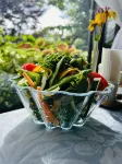 Kiyosato Pension Izumi - Bữa sáng