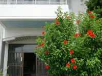 Wakamatsuya Ryokan - Homestays