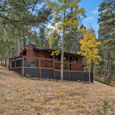 Mini Mountain Retreat surrounded by Trees in enchanting Divide with WiFi