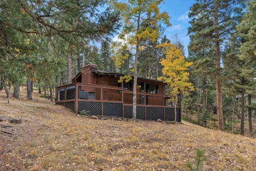 Mini Mountain Retreat surrounded by Trees in enchanting Divide with WiFi - Chalets