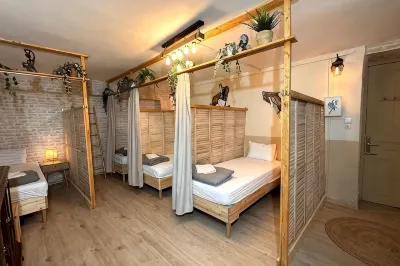 Baloo Hostel Hotels in 