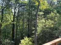 Modern New Construction near Dahlonega and Helen - Chalets