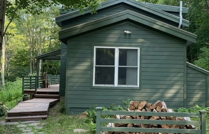 Mountain Forest Retreat w Cedar Hot Tub - Western Catskills