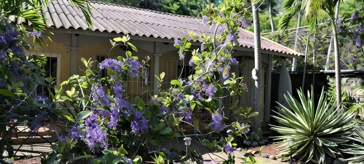 La Casita Private garden view beachfront 薩迪納爾住宿飯店