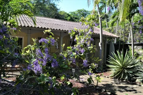 La Casita Private garden view beachfront - ブティック