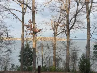 Oberthier Fish Camp on the Lake o the Pines. - Hytter