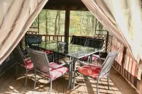 Cozy Cabin in the Woods on Big Trade Lake with Sauna and All Natural Cold Plunge - Hytter