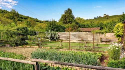 A vacation in the midst of nature just a stone's throw from Alba? -  Appartamenti vacanze
