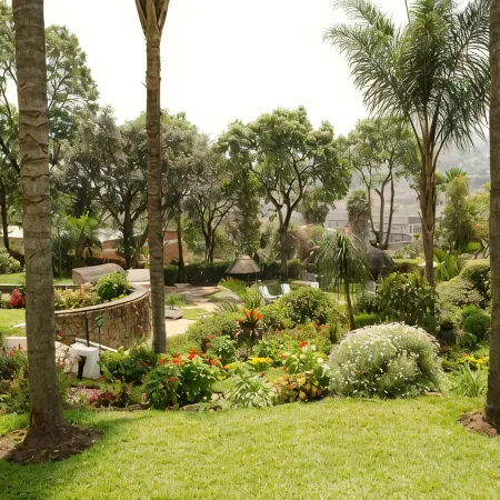 Sunbird Mount Soche