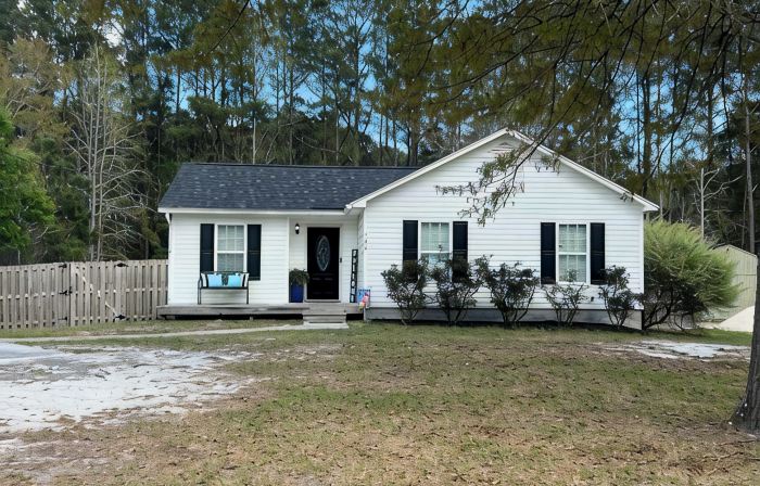 The Lewis House, Charming 3-bedroom house with WiFi and AC in lovely Leland.
