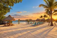 Oceanfront Key Largo Paradise-Private Beach+Pool/Jacuzzi/Bar +Pickleball+Marina - Wi-Fi