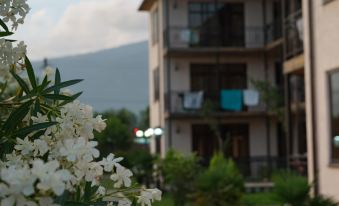 a house with a balcony and a mountain in the background , next to white flowers at ELION