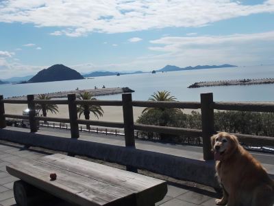 ホテル周辺 北条水軍ユースホステルの写真