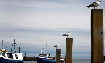 a harbor scene with several boats , including a fishing boat and a seagull perched on a post at Rocksalt