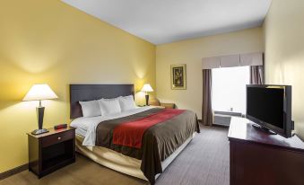 Comfort Inn and Suites Thomson