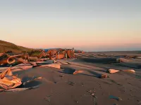 LOGE Camps Westport Hotels in Grayland