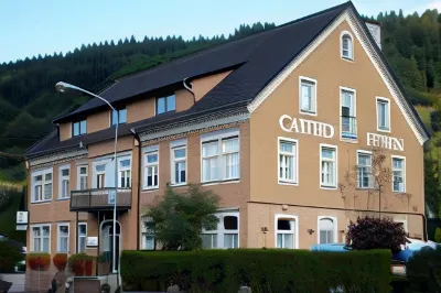 Gasthaus Finken Hotels in Oberharmersbach