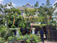 Realkhom Homestay Hotel a Prasat Bakong