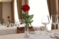 Hotel Savoia Hotels in Mirandola