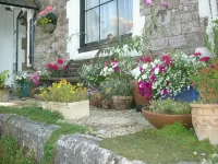 Ashleigh House Hotels near Torre