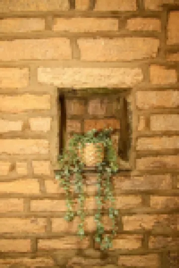 Willow Cottage, Saxton Grange. situated on a working farm.