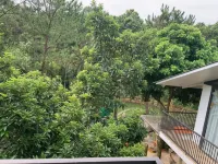 Lake View Homestay