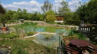 Landhotel Gut Wildberg - Hotel - Restaurant - Sauna - Biergarten Hotels in Wilsdruff