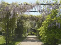 Hotel Venecia Palace Hotels in Pruszkow County