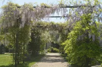 Hotel Venecia Palace Hotels in Falenty