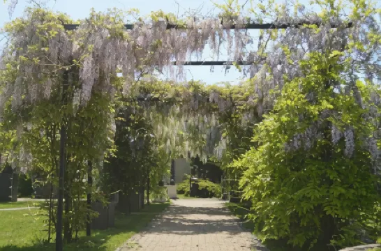 貝內西亞宮酒店