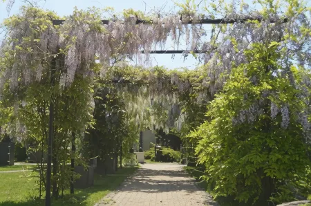 Hotel Venecia Palace