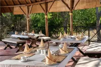 Jim's Jungle Retreat Hotel di Nainital