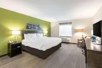 舒眠套房酒店 - Wi-Fi