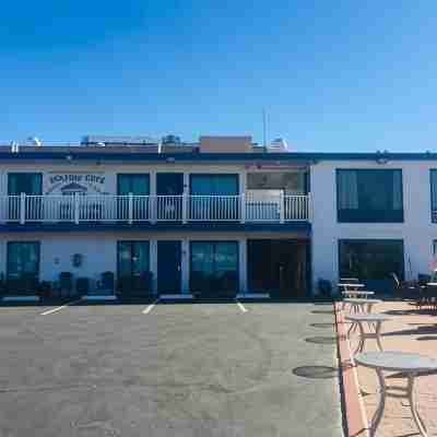 Dolphin Cove Motel Hotel Exterior