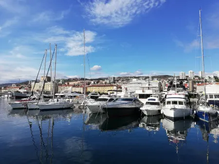 Apartments & Rooms Opa Opa Отели в г. Риека