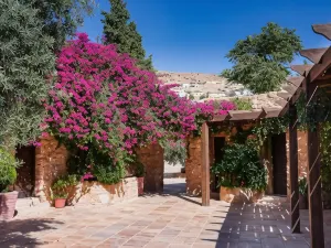 Hayat Zaman Hotel and Resort Petra