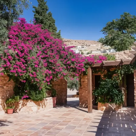Hayat Zaman Hotel and Resort Petra